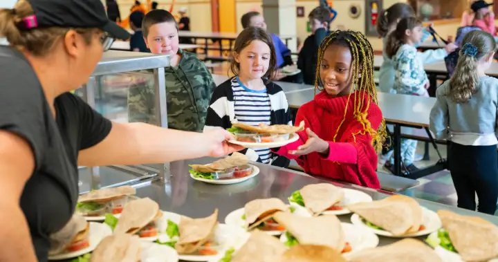Nova Scotia school lunch program expanding to high schools this fall – Halifax