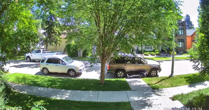 Calgary police seeing massive spike in reported catalytic converter thefts – Calgary