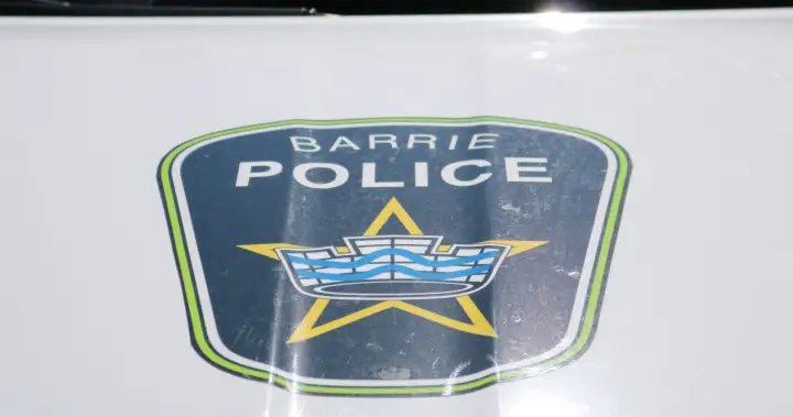 Search for ‘aggressive’ dog that attacked child in Barrie continues