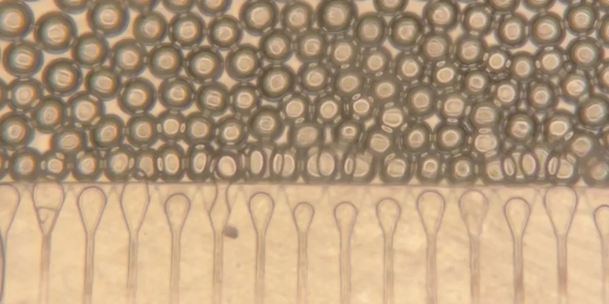 Engineered “mini livers” could be injected as an alternative to transplantation