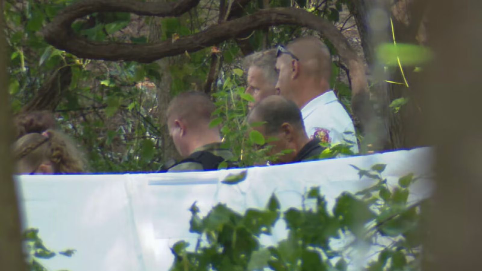 3 killed when private plane crashes into Maryland woods: Officials
