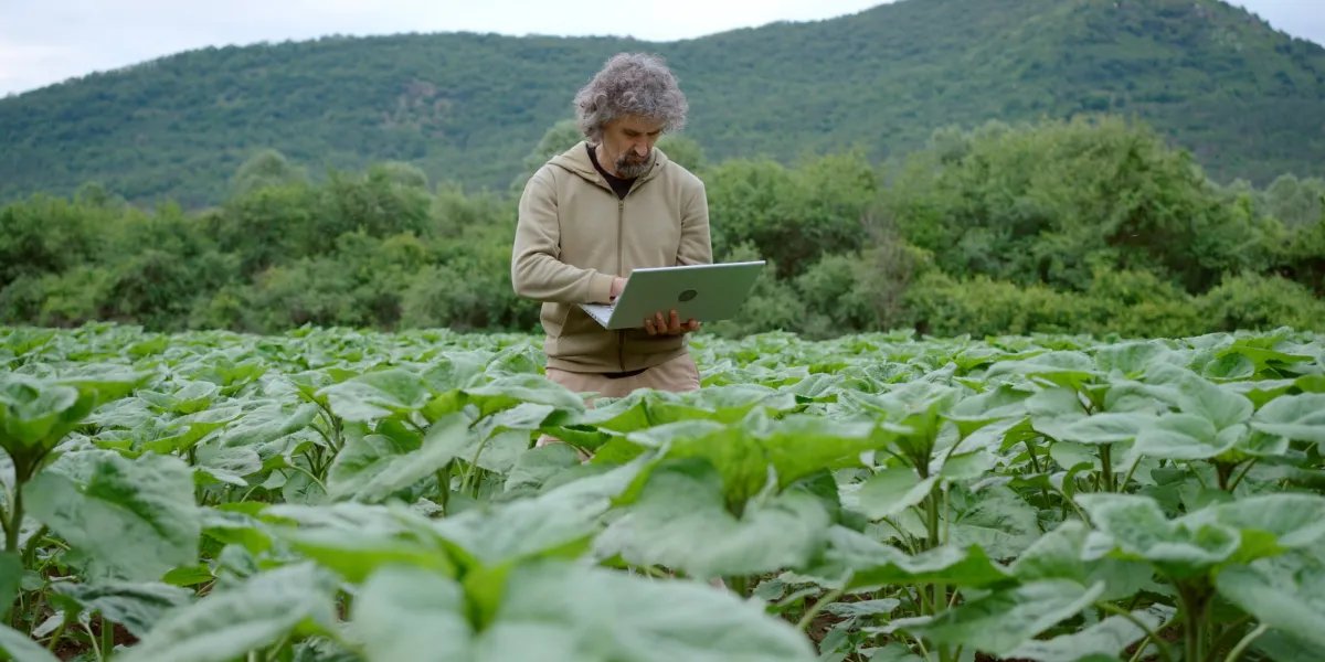 Agriculture is ready for AI, but its data isn’t