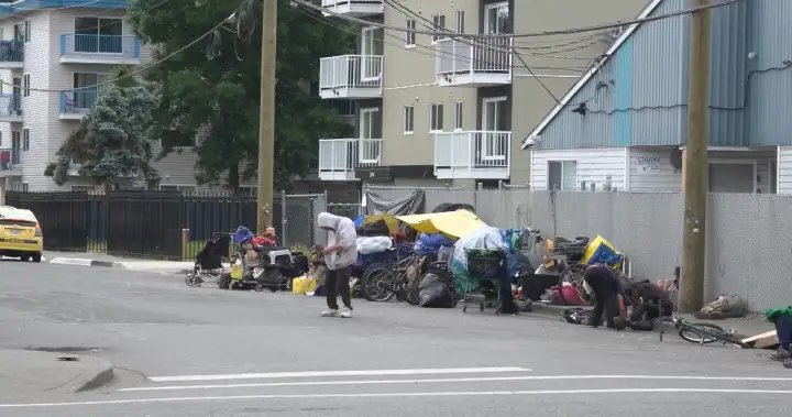 North Cowichan mayor asks for province’s help to address homelessness, mental health – BC