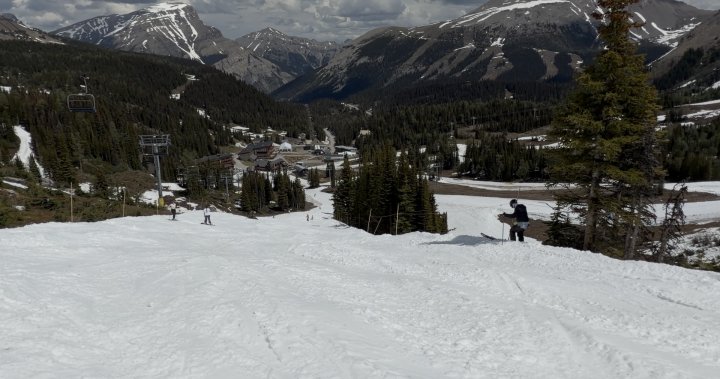 Summer skiing at Sunshine Village draws skiers from Alberta and beyond