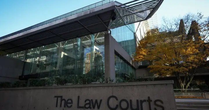 B.C. mother fighting to get son back after Voluntary Care Agreement – BC