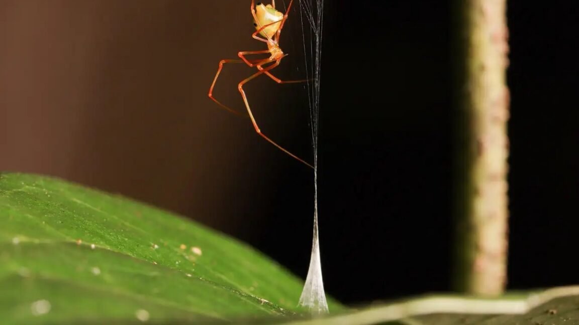 June research roundup: 6 cool science stories we almost missed