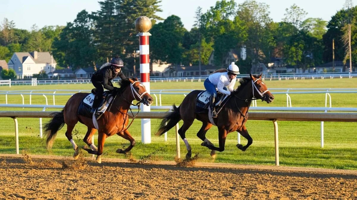 2026 Belmont Stakes predictions, odds, location, track, field, time: Picks by top horse racing expert