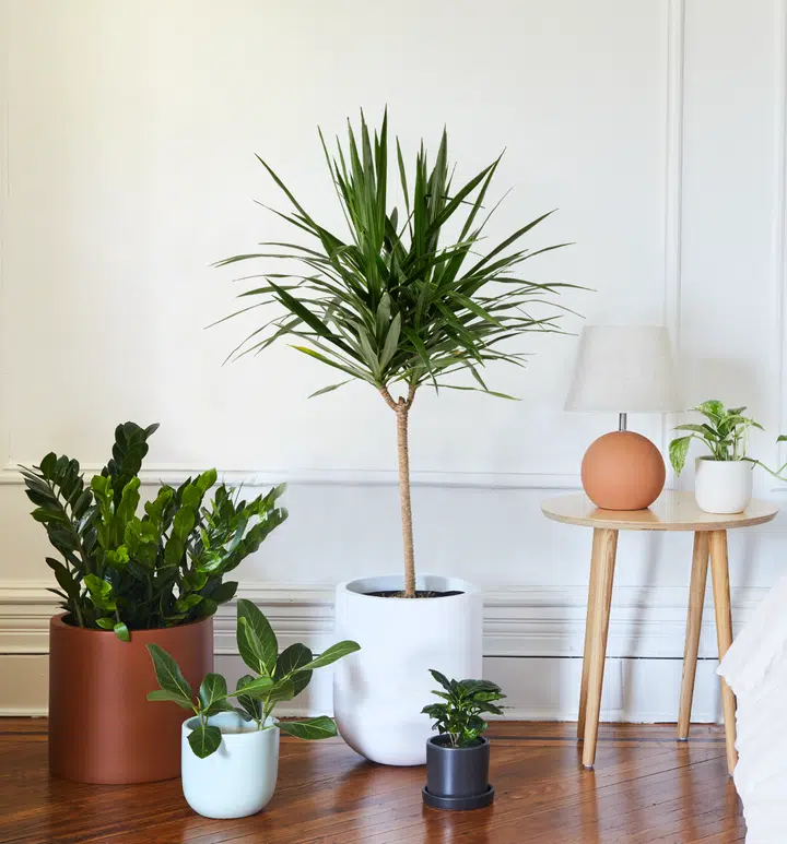 The 7 Best Plant Pots From Sustainable Brands (2026)