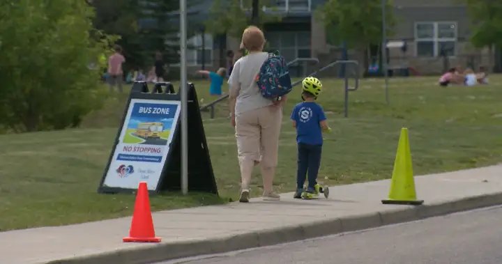 Calgary families cut out of school bus service for upcoming year – Calgary