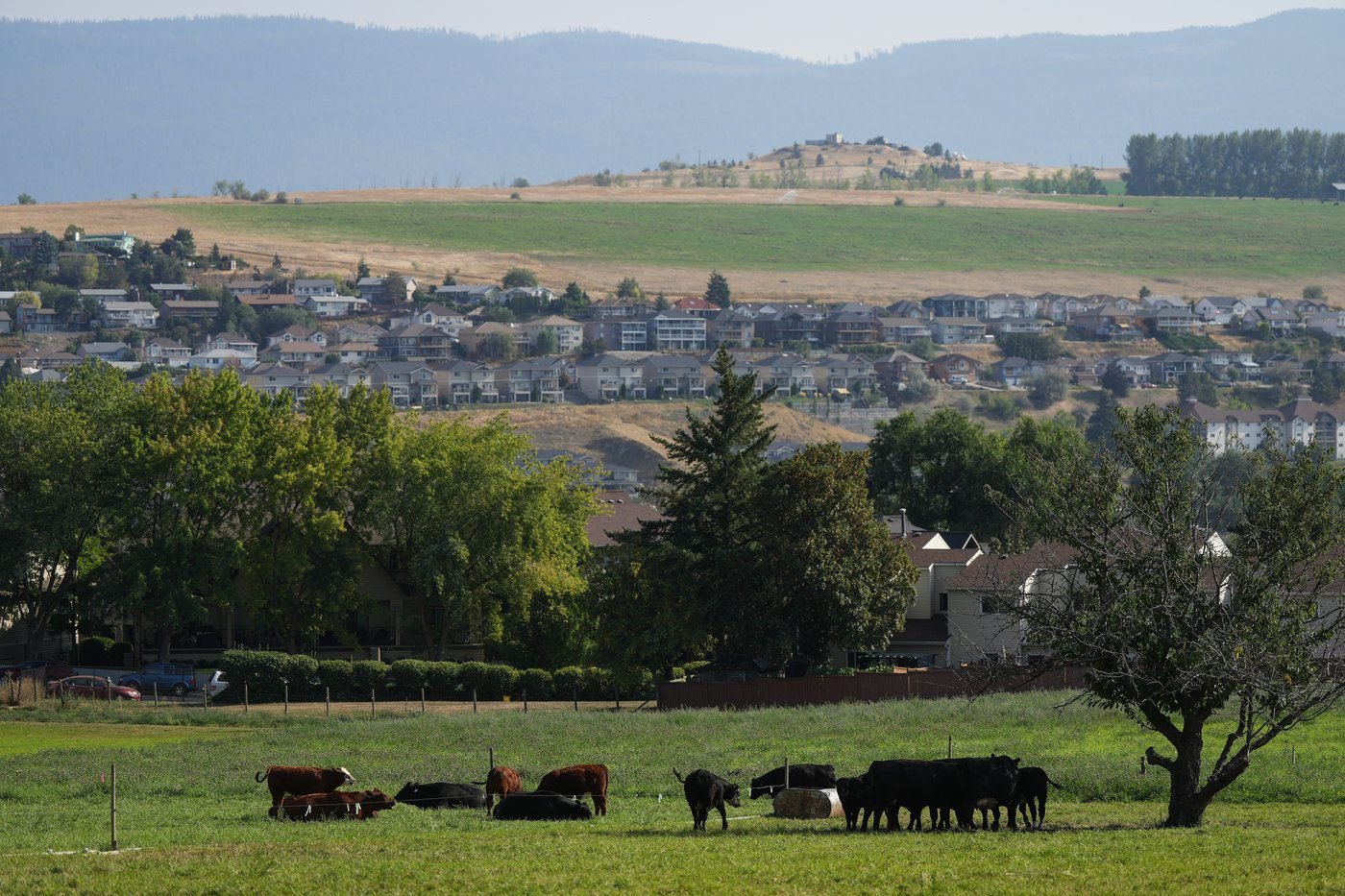 Communities report high demand for pilot offering permanent residency for rural jobs