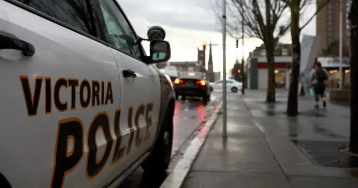 2 men arrested in connection with ‘violent’ sexual assault in Victoria – BC