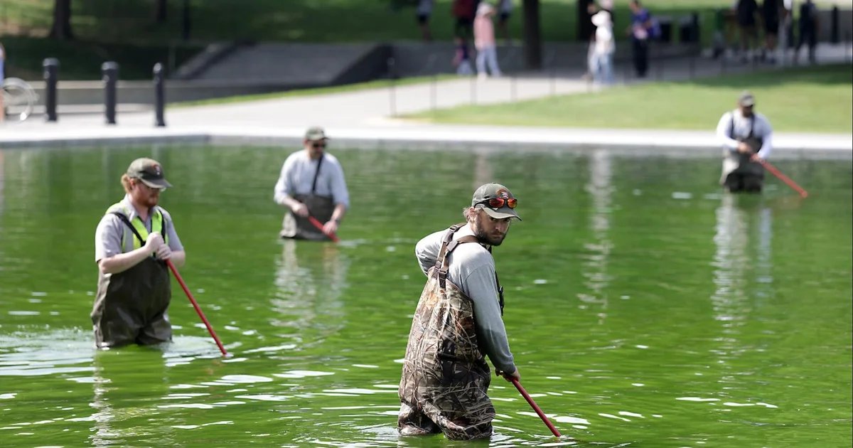 Reflecting Pool turns green after millions poured into renovations