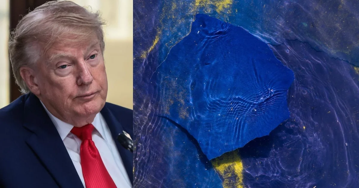 Trump again alleges vandals damaged Reflecting Pool: "They went in there with a knife"