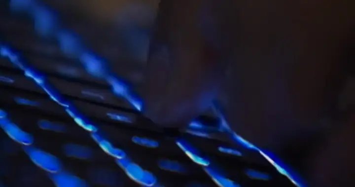 Civilians behind international police probe into Russian cybercriminals – National