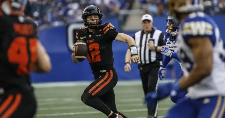 Lions look to build on foundation laid last year