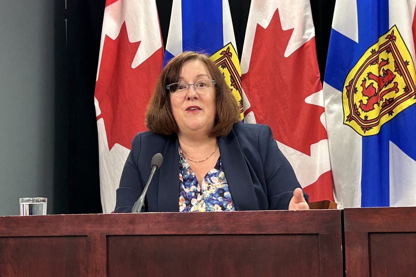 N.S. says it’s on schedule to move people with disabilities out of institutions