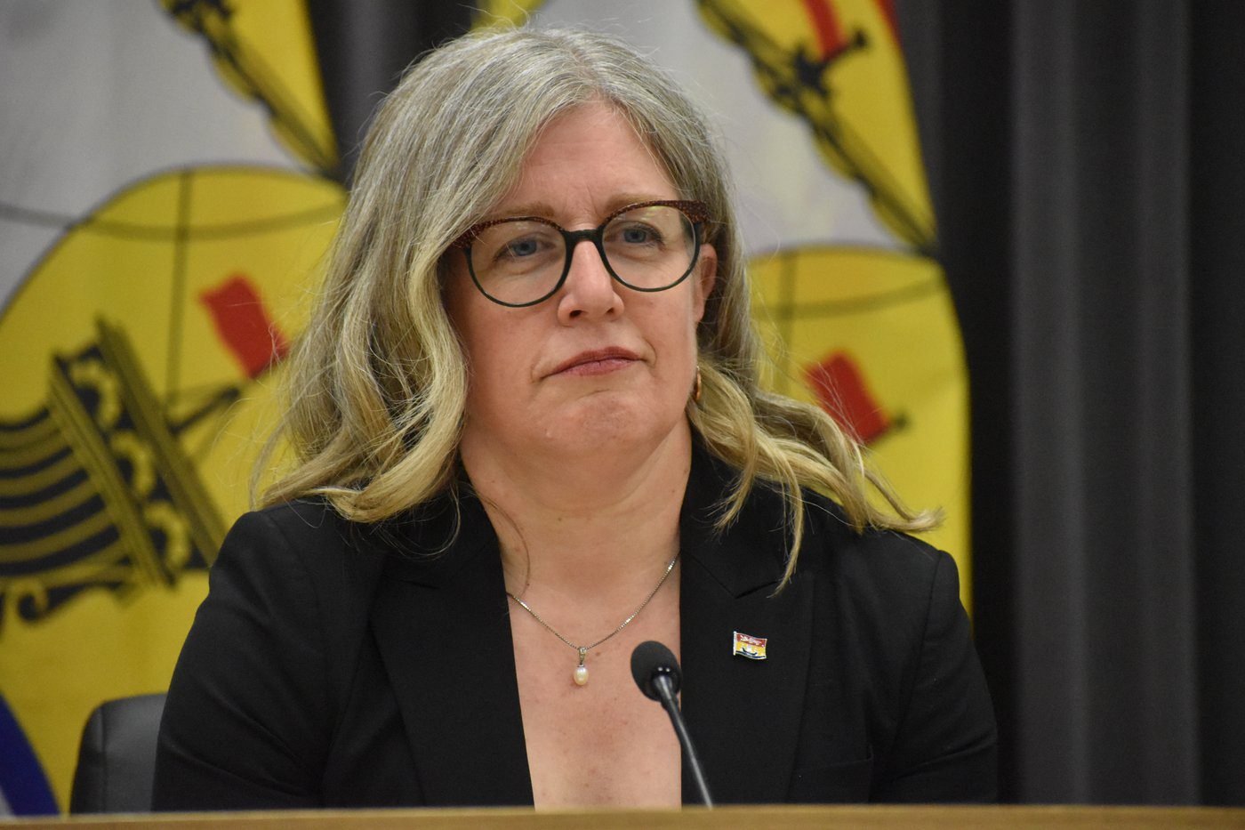 N.B. Premier Susan Holt says pay-what-you-can school lunch program launching in fall
