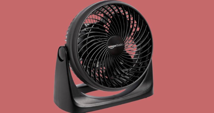 Best cooling fans of 2026: Top picks for a cool, comfortable home – National