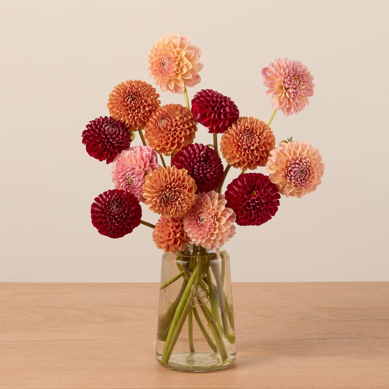Where To Shop For Sustainably Farmed Flowers