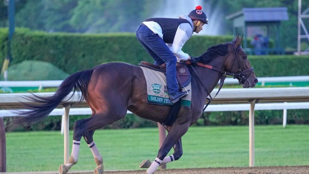 2026 Belmont Stakes predictions, odds, field, location, track, time: Picks from elite horse racing expert