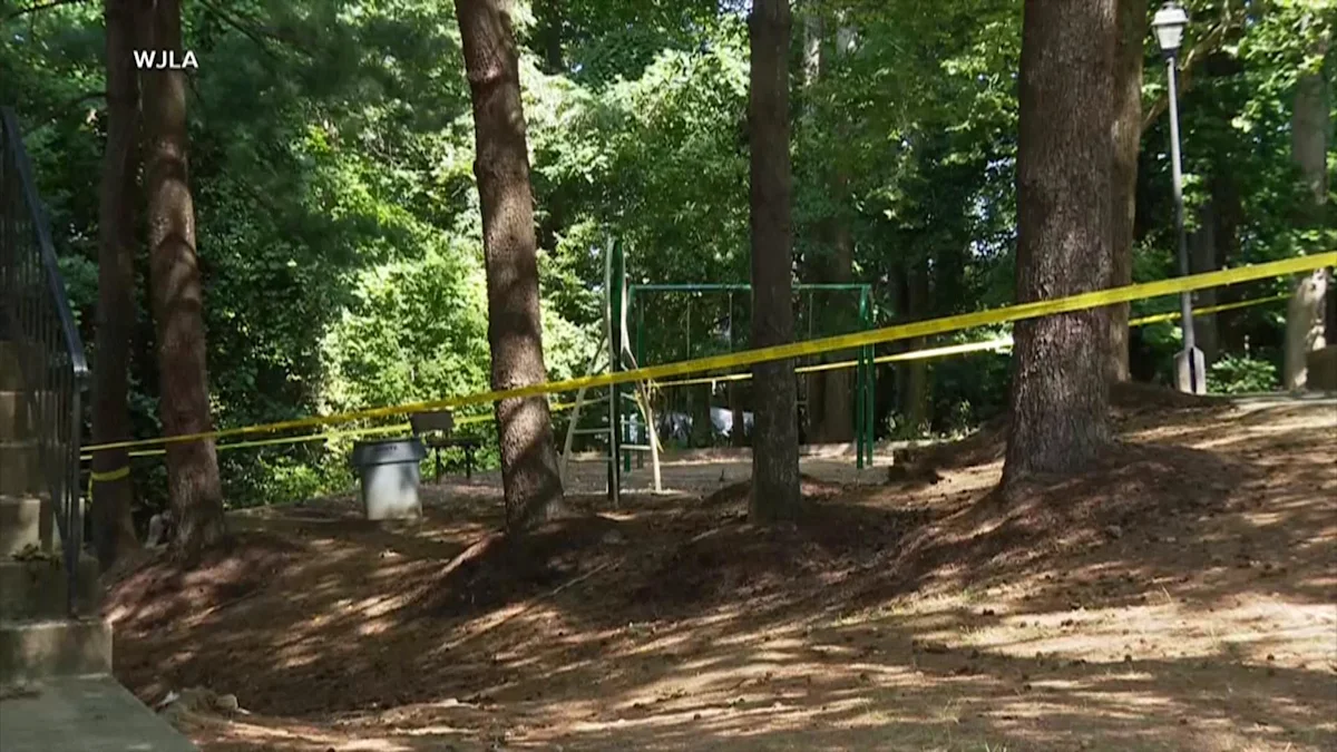 3 killed in small plane crash outside of DC suburb