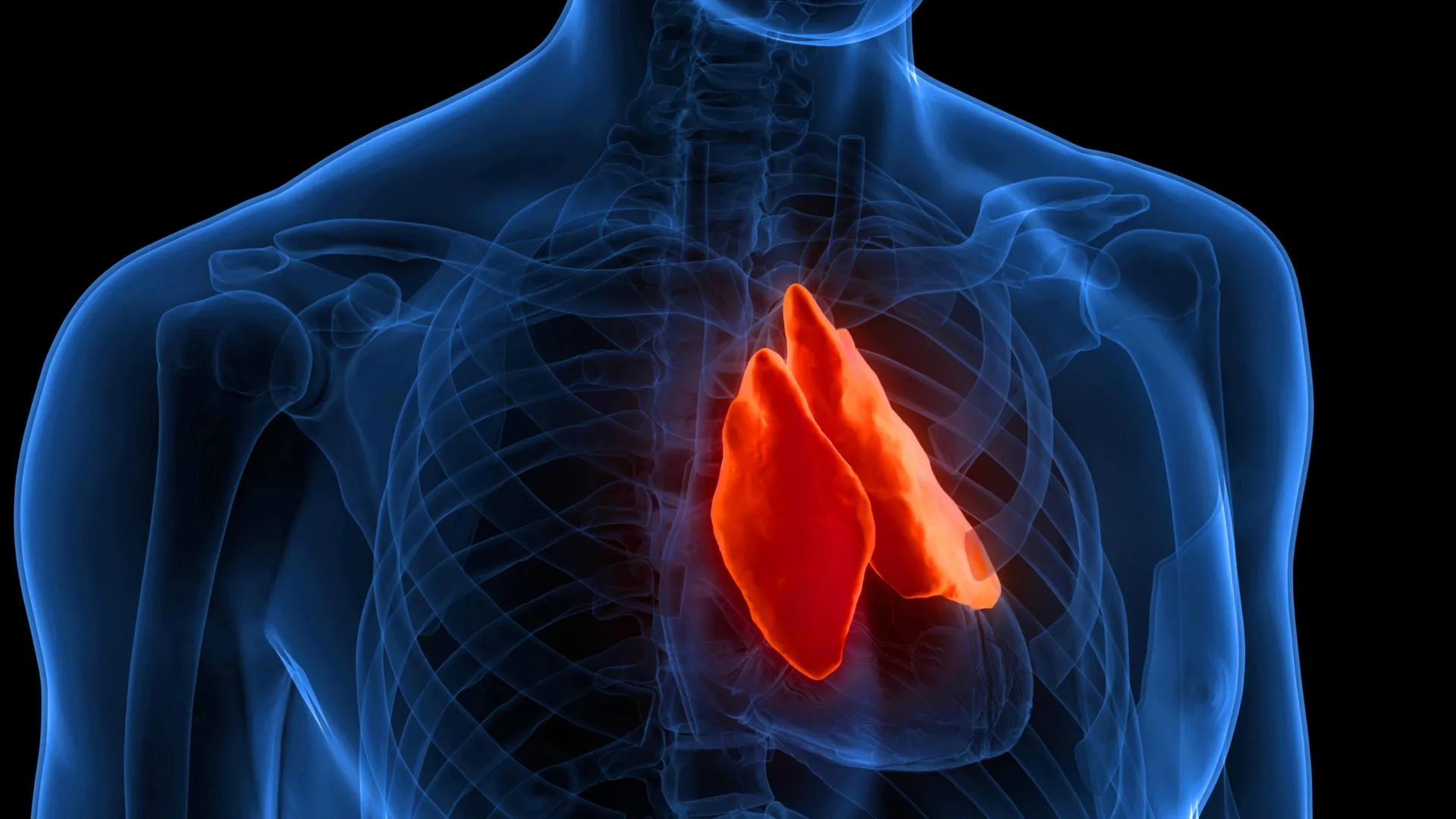 The forgotten organ that could predict how long you live