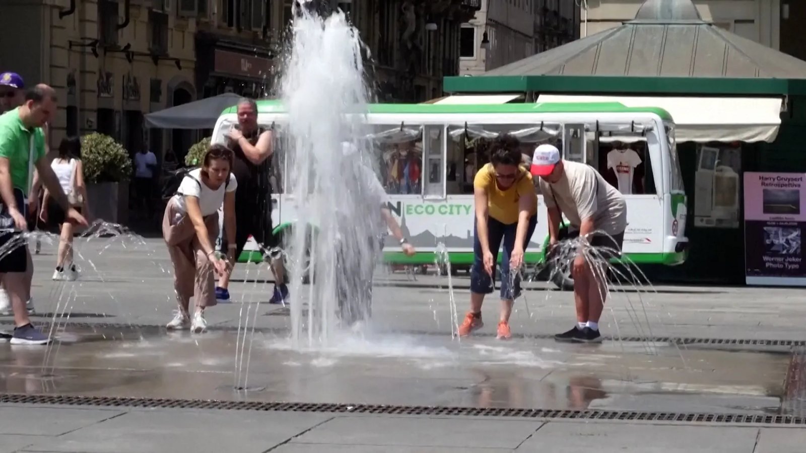 Europe heatwave scorches cities and wildlife | News