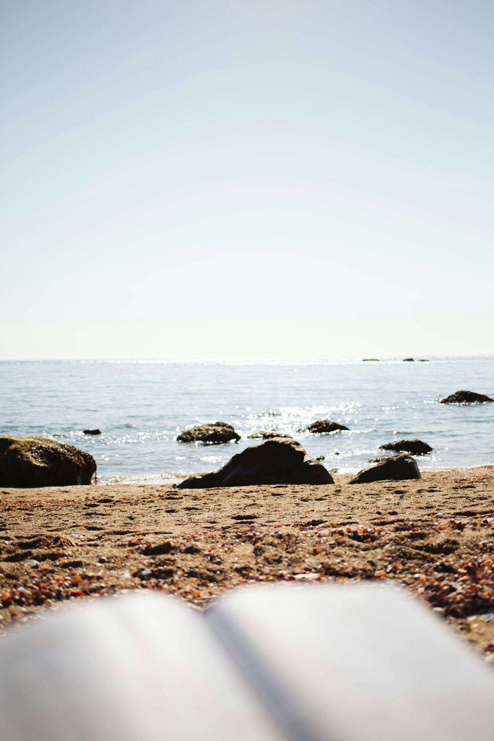 10 Best Educational Beach Reads For World Oceans Month