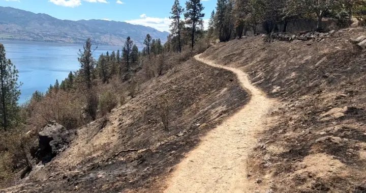 Suspected illegal campfire blamed for Kalamoir Park wildfire as safety concerns remain – Okanagan