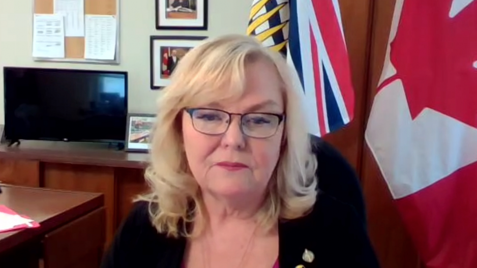 Findlay’s blank slate her best advantage as BC Conservative leader
