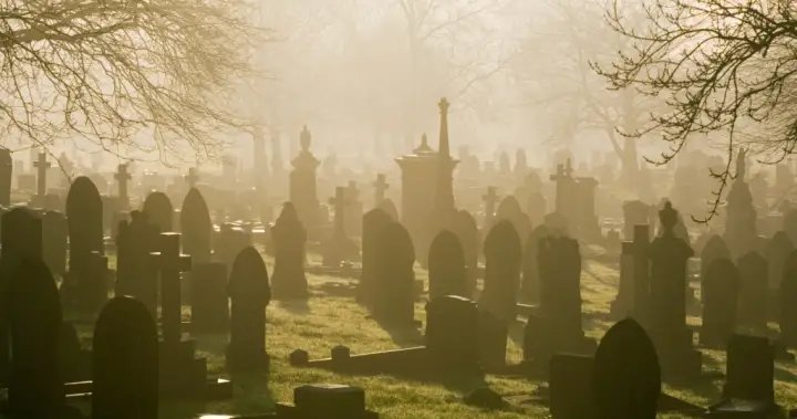 Man arrested in Hungary for collecting human body parts from cemeteries – National