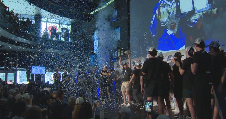 ‘Started to feel like destiny’: Toronto Marlies celebrate Calder Cup victory