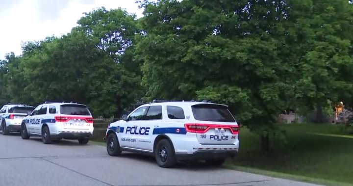 Woman injured, multiple shots fired during early morning Brampton home invasion – Toronto
