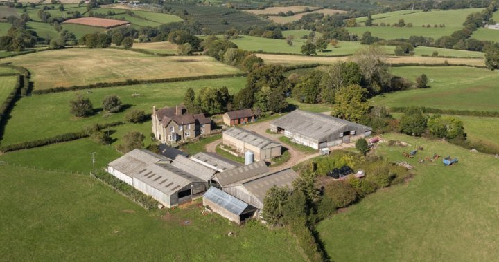 Prince William puts royal 600-acre English farm up for sale – National