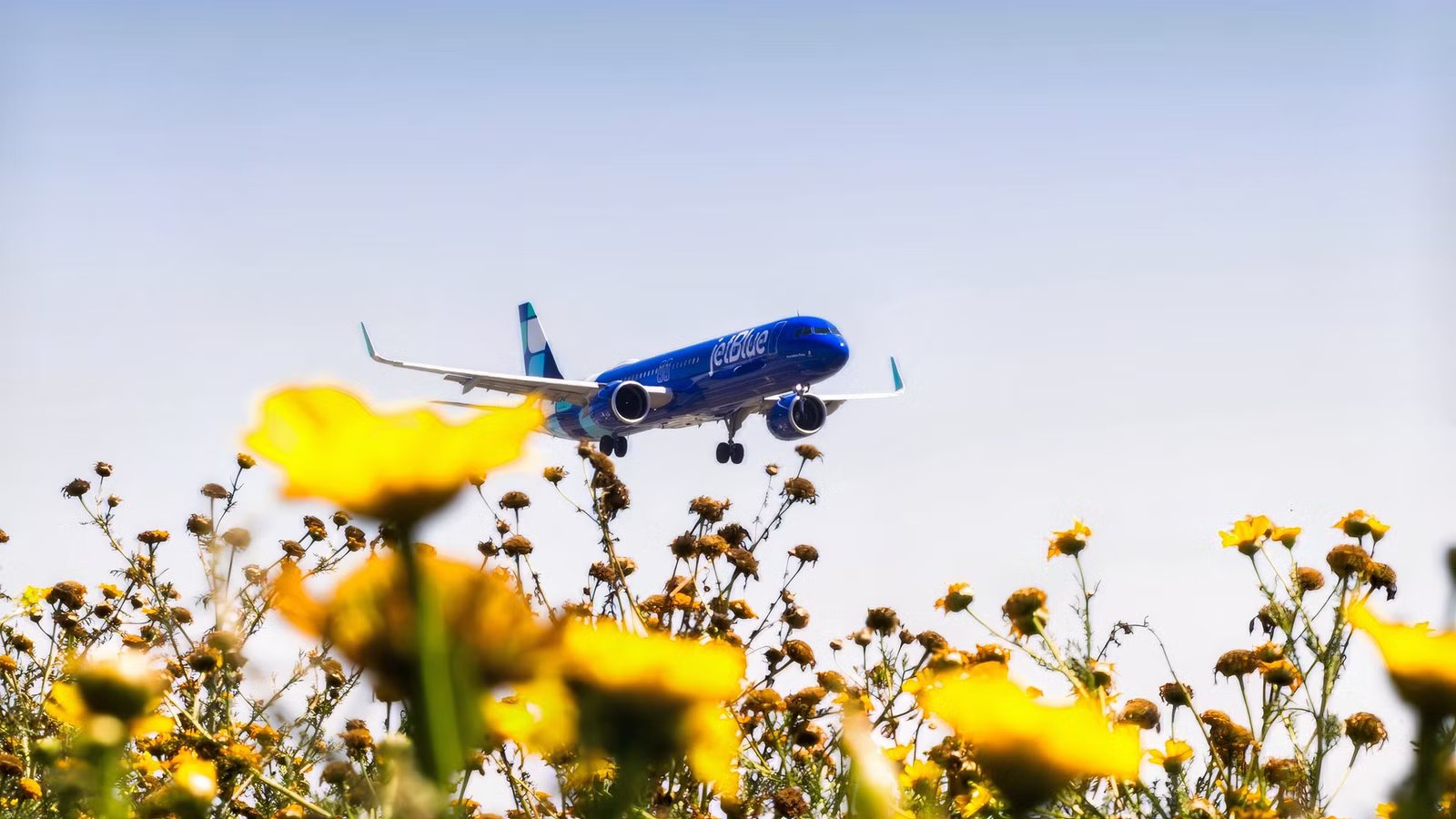 More Cuts: JetBlue Abruptly Drops 2 Cross-Country Routes & Will Close New York Crew Bases
