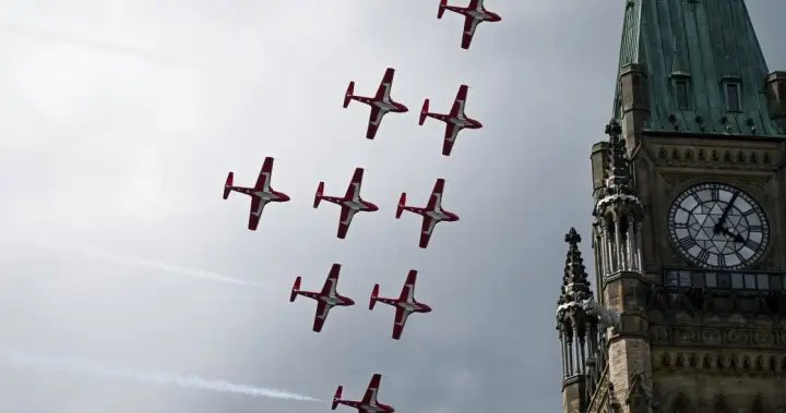 Snowbirds Alumni Association is fighting to keep the team flying