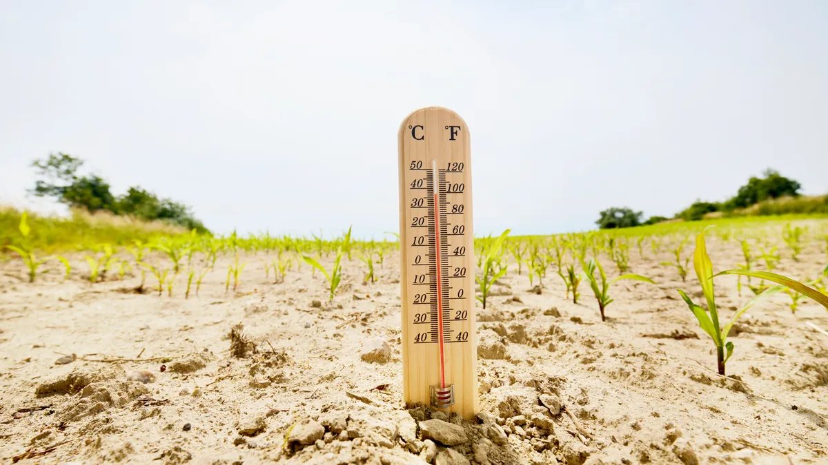 Heat Wave Safety: Track Your Risk With This Online Tool