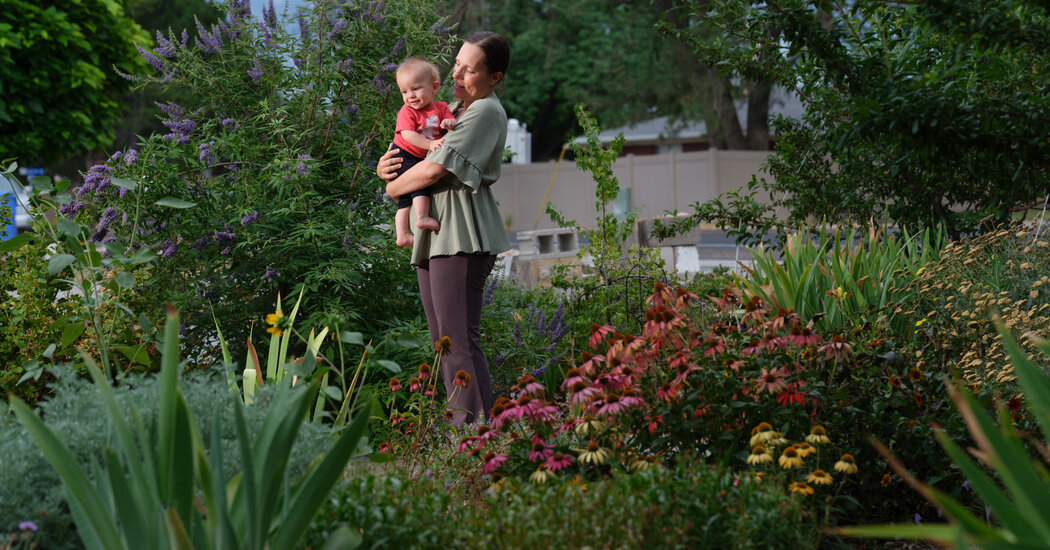 Utah, Known for Big Families, Leads the U.S. in Dropping Birthrates
