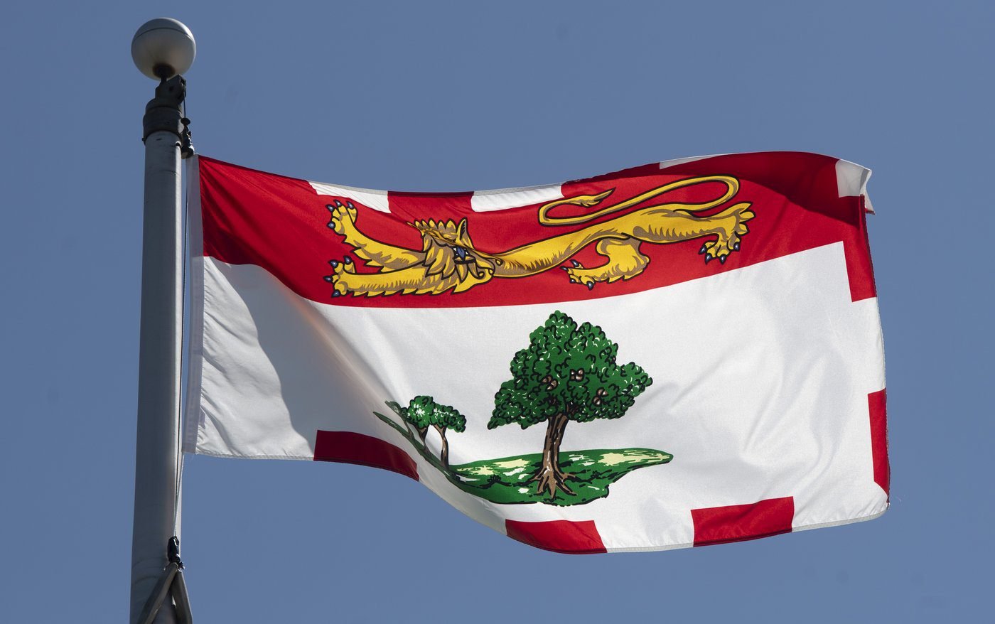 P.E.I. Liberal leader steps down after byelection loss