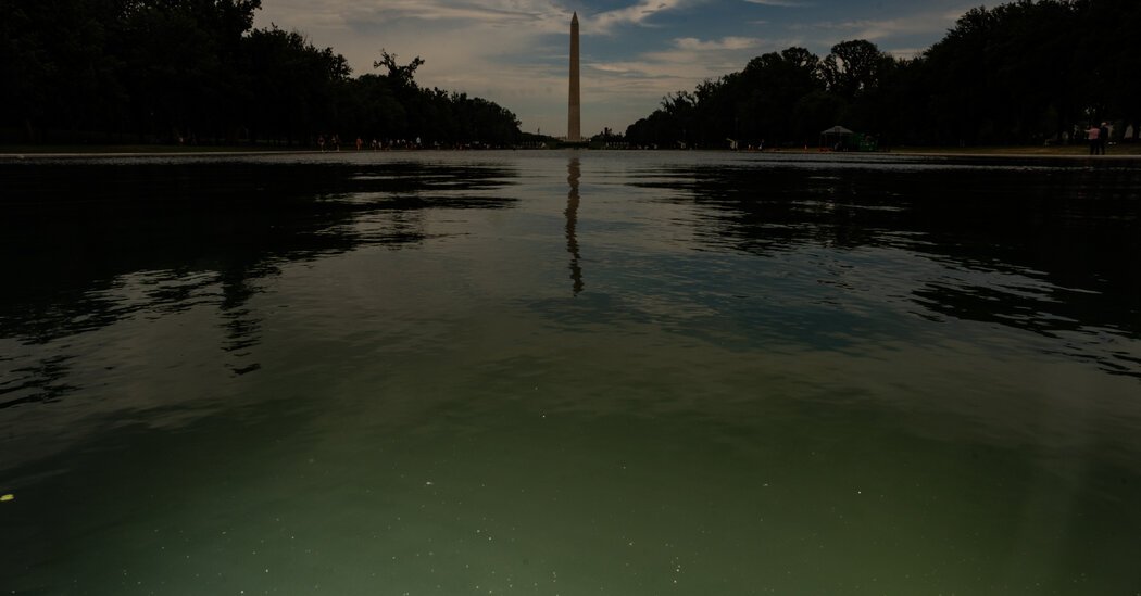 E Pluribus Algae: Why Green Pond Scum Is as American as Red, White and Blue