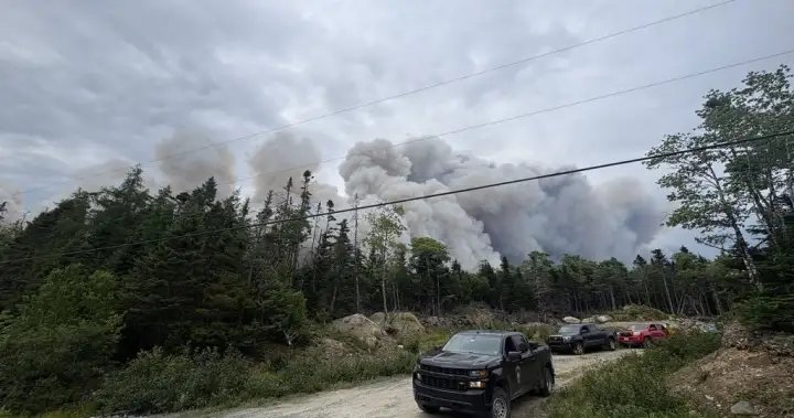 Wildfire northeast of Halifax being held, N.S. officials say – Halifax