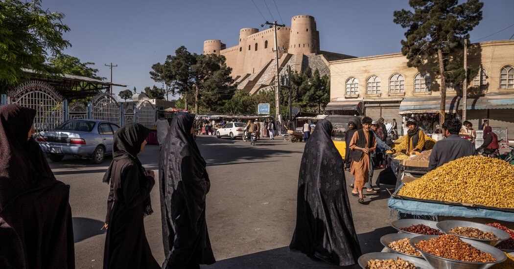 Inside Herat, Where a Taliban Campaign Targets a Cosmopolitan Outpost