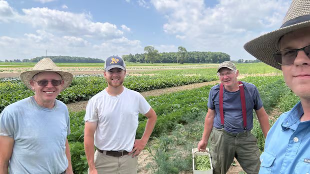 Ontario farmers embrace extreme heat after weeks of storms, hail damage crops