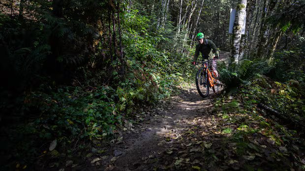 Fatal crash on Fernie, B.C., mountain bike trail shocks riding community