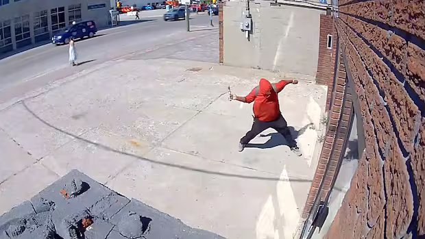 Timmins reptile store owner charged after confronting alleged vandal with machete