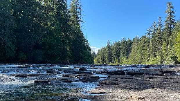 1 person missing after being swept away at Stamp River Park near Port Alberni, B.C.