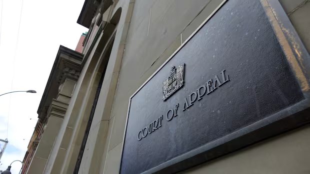 N.L. appeals court could soon hear 1st ever case in French