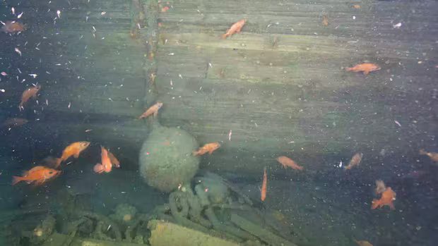 Underwater images reveal 1st look at Quest, the final ship of Antarctic explorer Ernest Shackleton