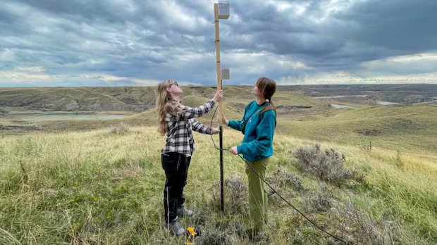 Canada-wide nocturnal bird sound migration tracker takes flight