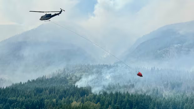 ‘There’s wreckage everywhere’: B.C. resort owner loses cabins, trailers in Boston Bar wildfires
